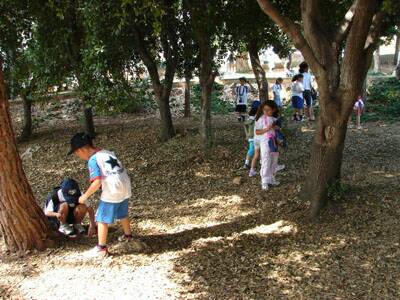 20060710-cscs-centre-aere-075