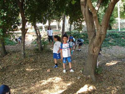 20060710-cscs-centre-aere-076