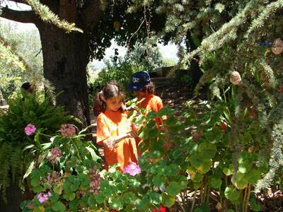 20060710-cscs-centre-aere-227