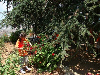 20060710-cscs-centre-aere-229