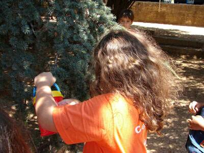 20060710-cscs-centre-aere-231