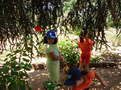 20060710-cscs-centre-aere-232