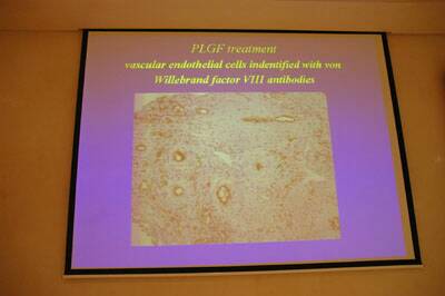 conf-chachques-20071029-117