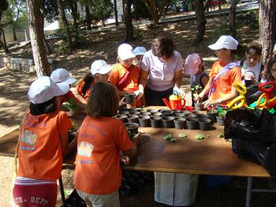 ete2008-a-jamhour-20080711-246