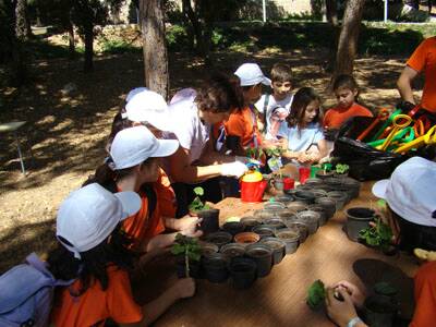 ete2008-a-jamhour-20080711-247