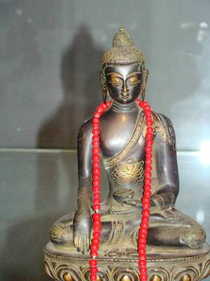 flanerie-inde-20080204-045