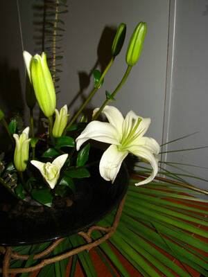 flanerie-japon-20080310-041