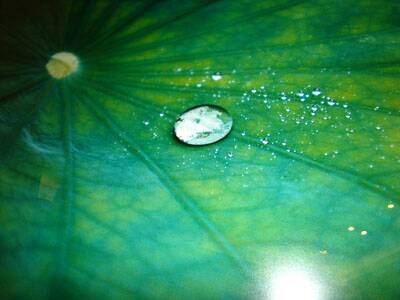 flanerie-japon-20080310-043