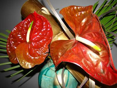 flanerie-japon-20080310-076