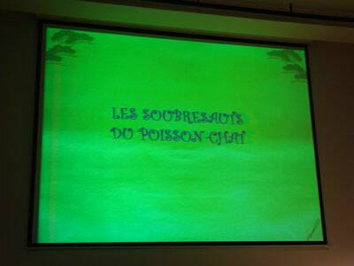 flanerie-japon-20080310-105