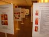 flanerie-tcheque-20071203-02
