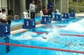 eps-natation-20060107-56