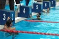 eps-natation-20060107-58