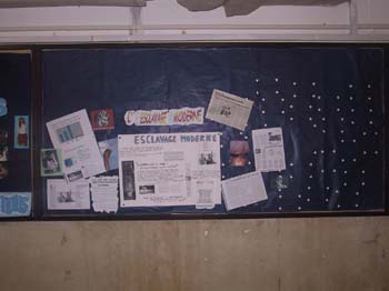 projetsocial2-2003-11