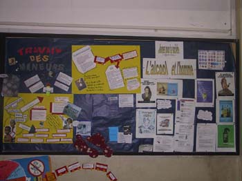 projetsocial2-2003-16