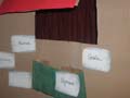 assemblee-miss-20061104-05-020