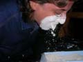 assemblee-miss-20061104-05-083