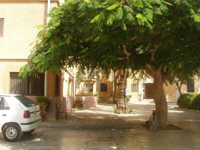 alexandrie-kingmariut-005