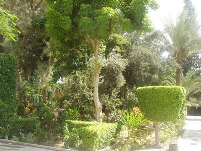 alexandrie-kingmariut-035