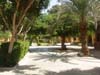 alexandrie-kingmariut-067