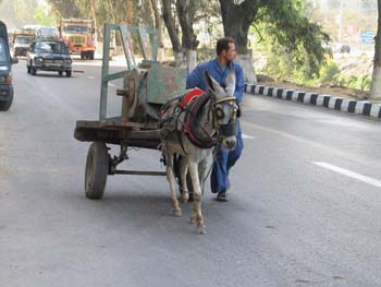 mejegypte-20040410-40