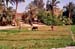 mejegypte-20040412-10