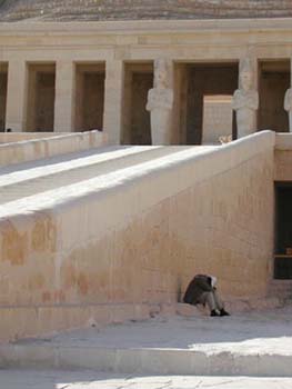 mejegypte-20040413-08