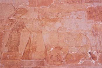 mejegypte-20040413-50