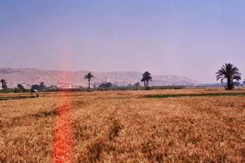 mejegypte-20040413-74