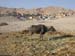 mejegypte-20040413-01