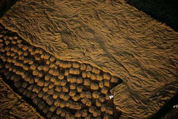 egypte-vue-duciel-03