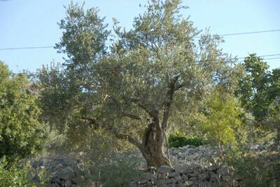 cas-chantier-ete2008-015