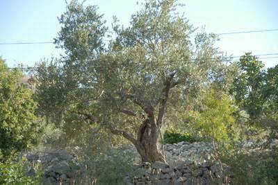 cas-chantier-ete2008-016