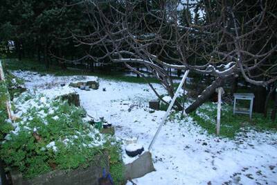 neige-20080131-097
