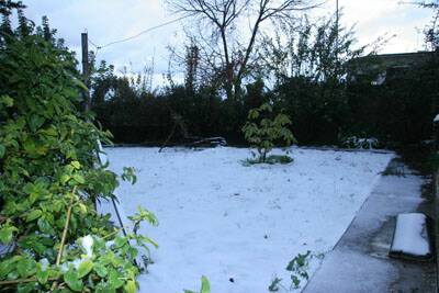 neige-20080131-098