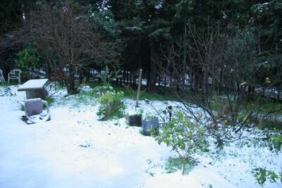 neige-20080131-101