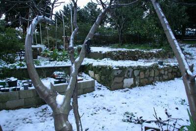 neige-20080131-104