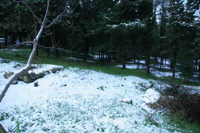 neige-20080131-105