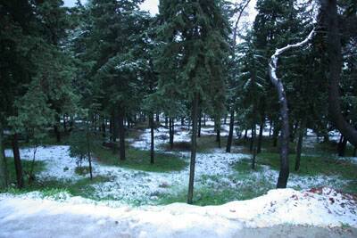 neige-20080131-113