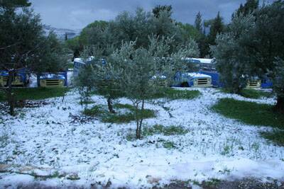 neige-20080131-115