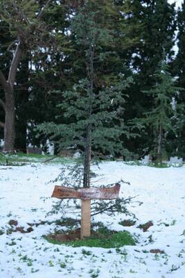 neige-20080131-131
