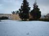 neige-20080131-052
