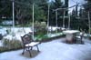 neige-20080131-093
