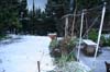 neige-20080131-095