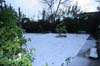 neige-20080131-098