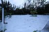 neige-20080131-099