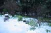 neige-20080131-101