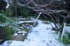 neige-20080131-103