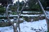 neige-20080131-104
