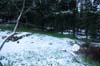 neige-20080131-105